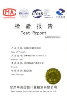 电缆分支箱检验报告