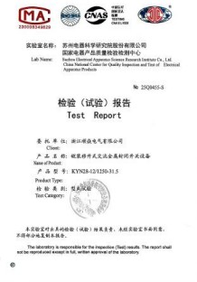 型式试验报告(一)