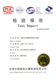 型式试验报告(二)